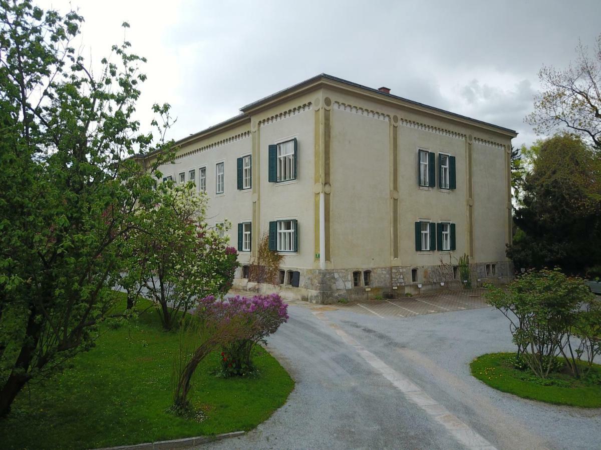 Blue Flat By Grazrentals Best Location & Free Parking Extérieur photo